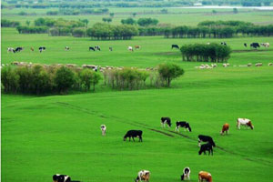 �����˶��ԭ����������